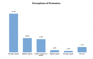 Perceptions of protesters