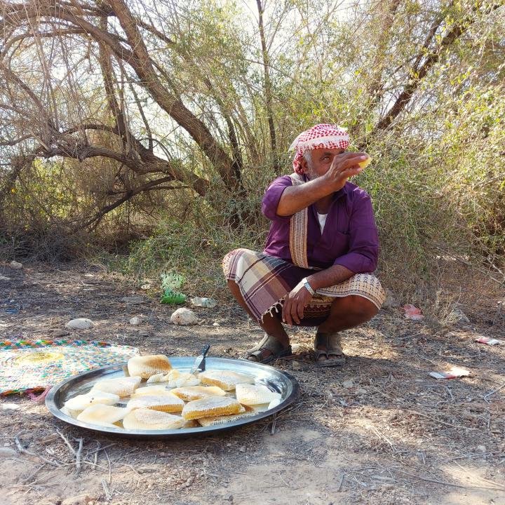 A beekeeper harvests honeycombs and holds part of them in his hand in Hadhramaut, Yemen