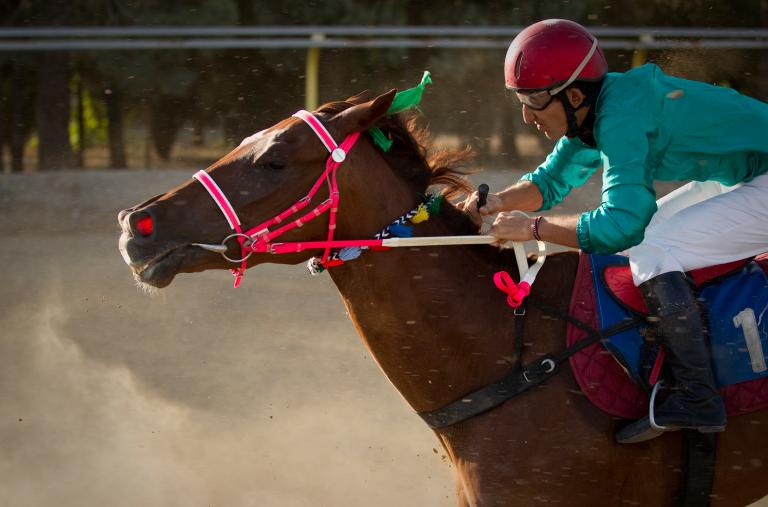 A jockey and horse at a race in Iran
