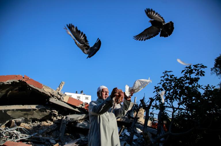 A Palestinian man in Gaza releases pigeons