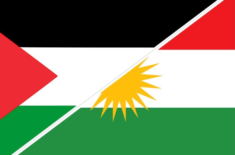 Kurd/Palestine Flags