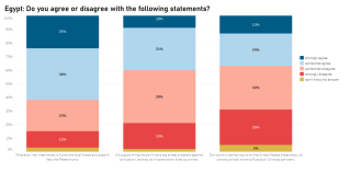 Egypt - agree disagree statements (EN).PNG