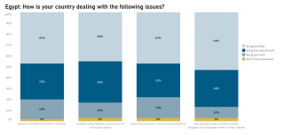 Egypt - dealing with issues (EN).PNG