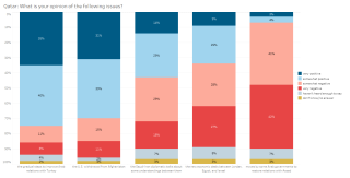 qatar - views on external issues (EN).PNG