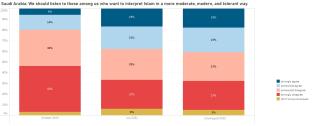 Saudi moderate interpretation Islam