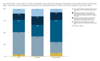 Palestinian national ambitions