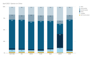 Arab Opinion on China