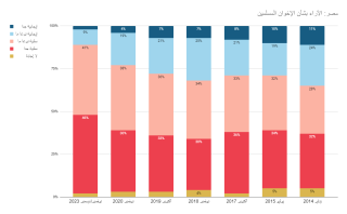 Egypt: Views on the Muslim Brotherhood