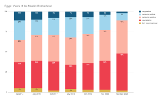 Egypt: Views on the Muslim Brotherhood