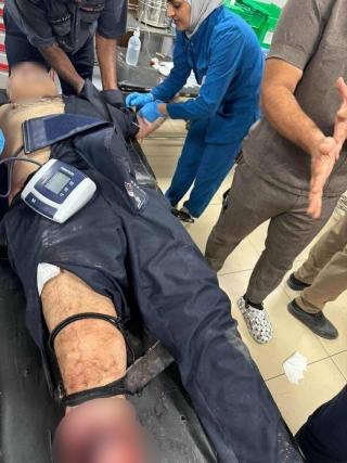 MS-Injured-ISF