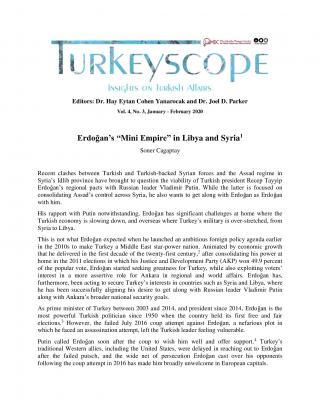 Cagaptay20200212-Turkeyscope