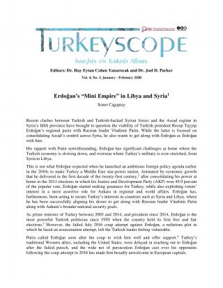 Cagaptay20200212-Turkeyscope