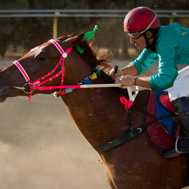 A jockey and horse at a race in Iran