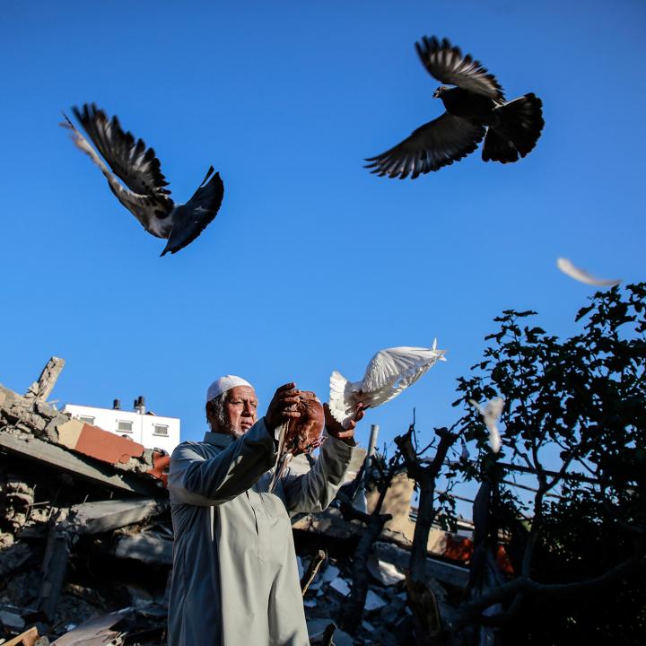 A Palestinian man in Gaza releases pigeons