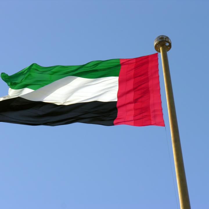 UAE flag