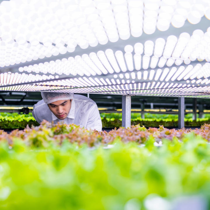 Precision farming - source: Reuters