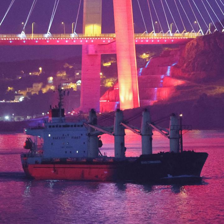 A cargo ship carrying Ukrainian grain passes through the Bosphorus - source: Reuters