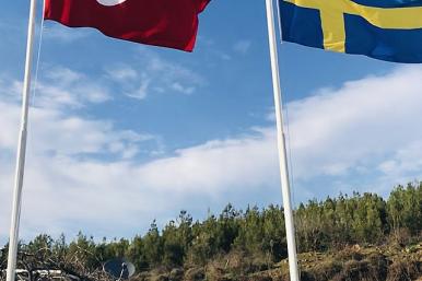 Flags_of_Turkey_and_Sweden