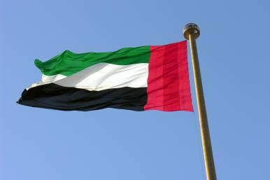 UAE flag