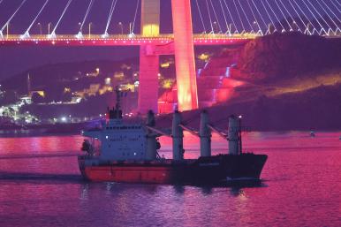 A cargo ship carrying Ukrainian grain passes through the Bosphorus - source: Reuters