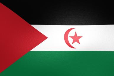 Flag of Western Sahara - source: Reuters