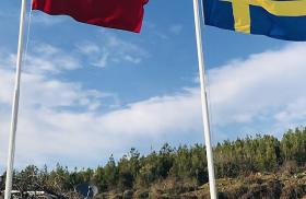 Flags_of_Turkey_and_Sweden