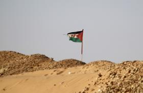 A Western Sahara flag flying in the Sahara - source: Reuters