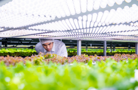 Precision farming - source: Reuters