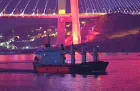 A cargo ship carrying Ukrainian grain passes through the Bosphorus - source: Reuters
