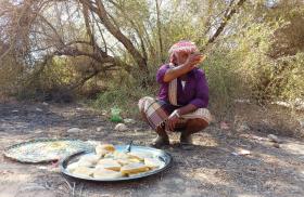 A beekeeper harvests honeycombs and holds part of them in his hand in Hadhramaut, Yemen