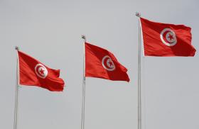 Flag of Tunisia