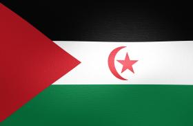 Flag of Western Sahara - source: Reuters