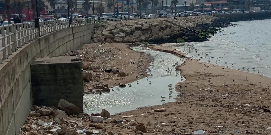 The Devastating Impact of Lebanon's Environmental Failures | The Washington Institute - Vimarsana News