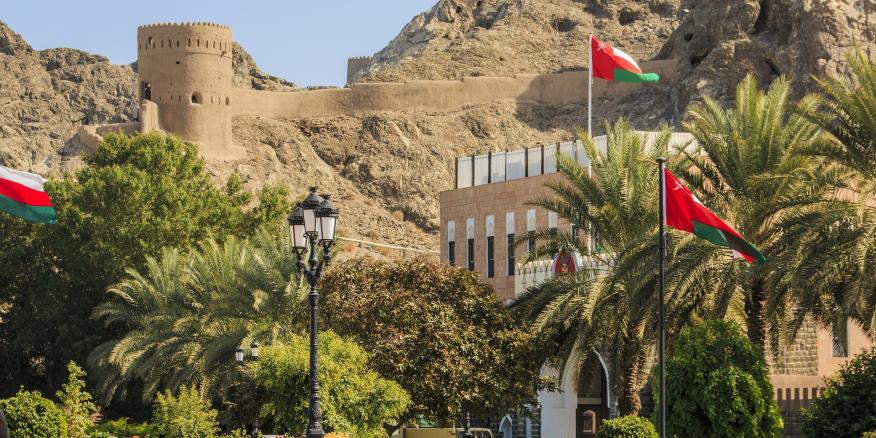 Oman's Facilitation Efforts with the Houthis on Hold | The Washington Institute - Vimarsana News